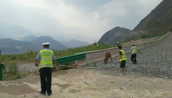 保山交通警察微博