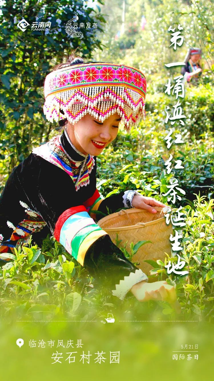 云南省文化和旅游厅