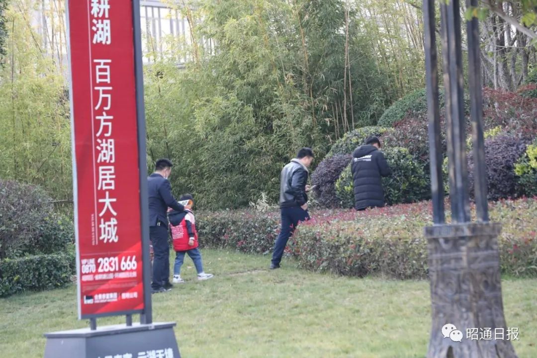 昭通日报