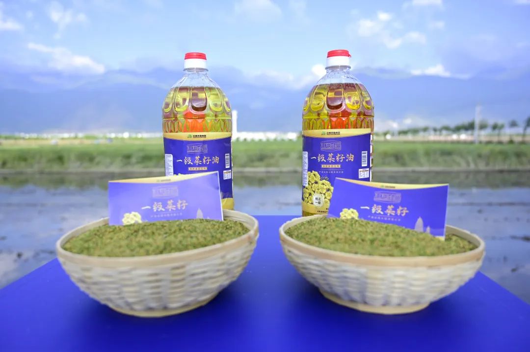 大理电视台