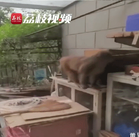 掌上春城微信公众号