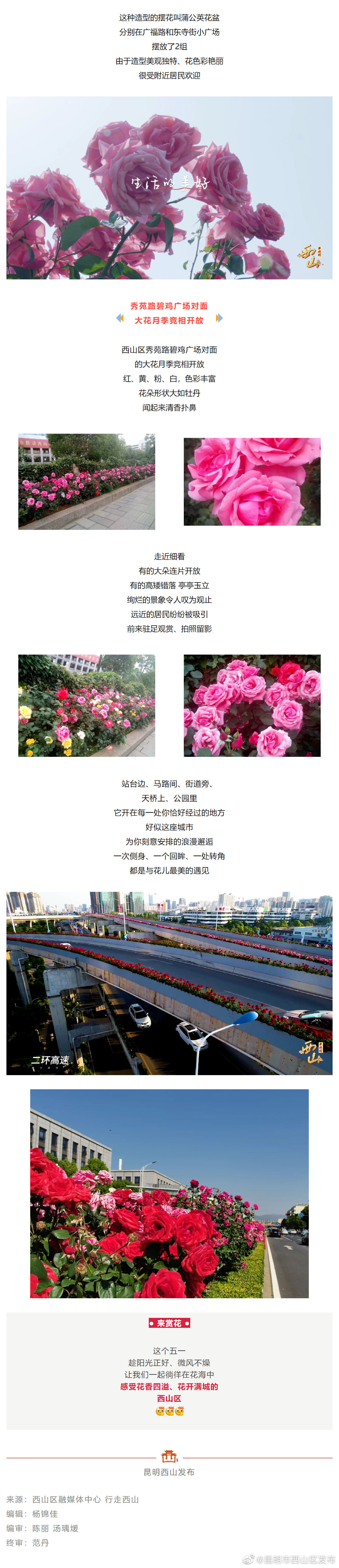 昆明市西山区发布