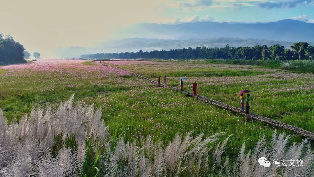 云南省文化和旅游厅