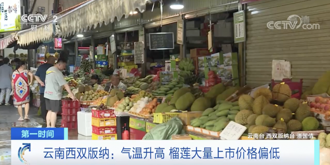 昆明信息港/cnkmxxg