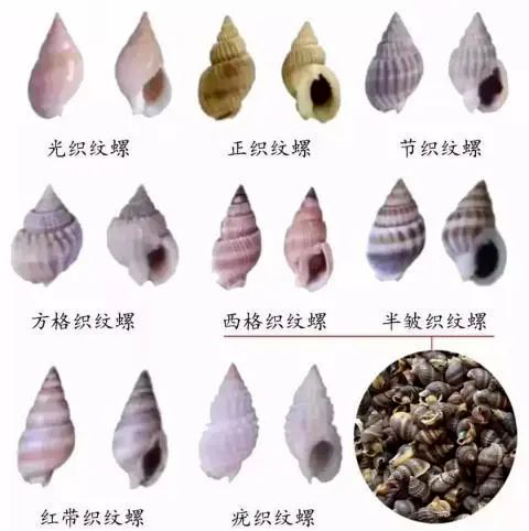云南法制报