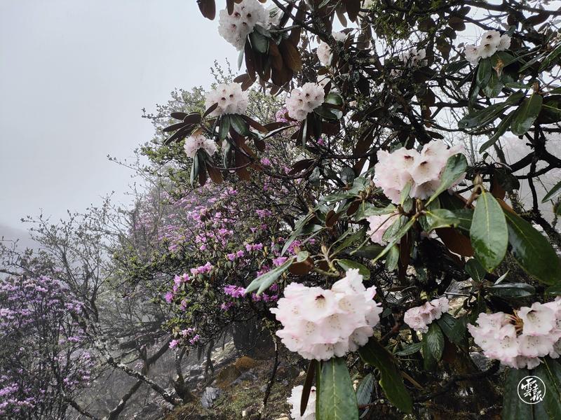 云南省文化和旅游厅