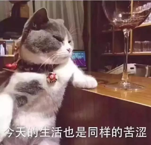 大理电视台