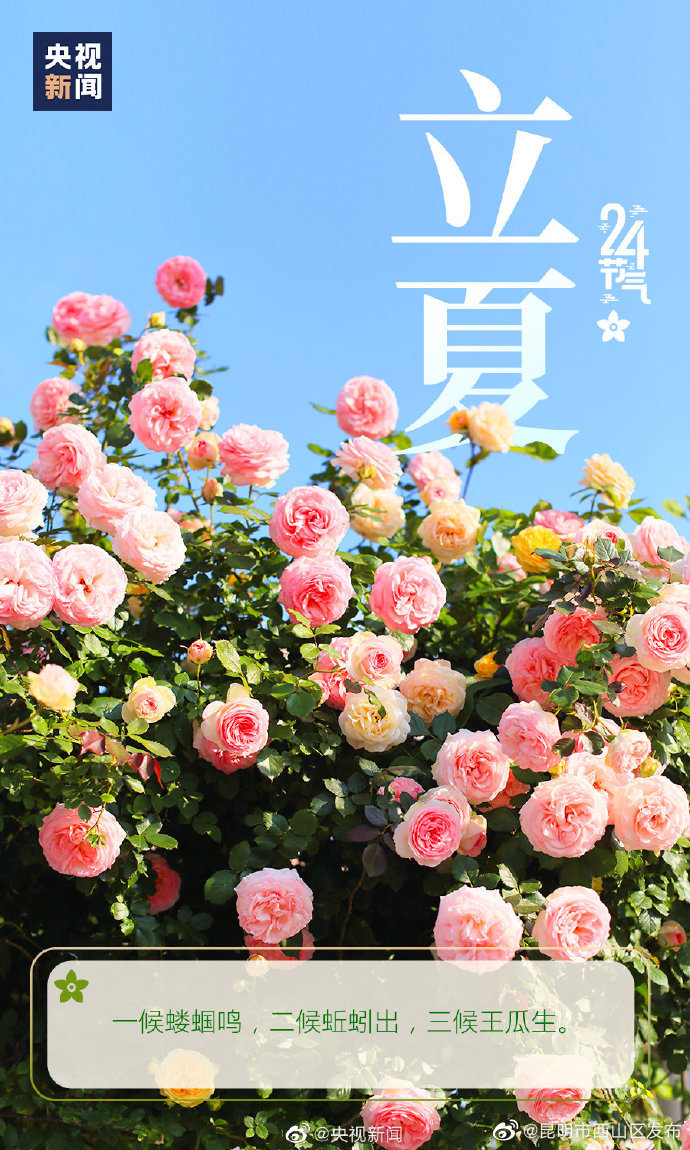 昆明市西山区发布