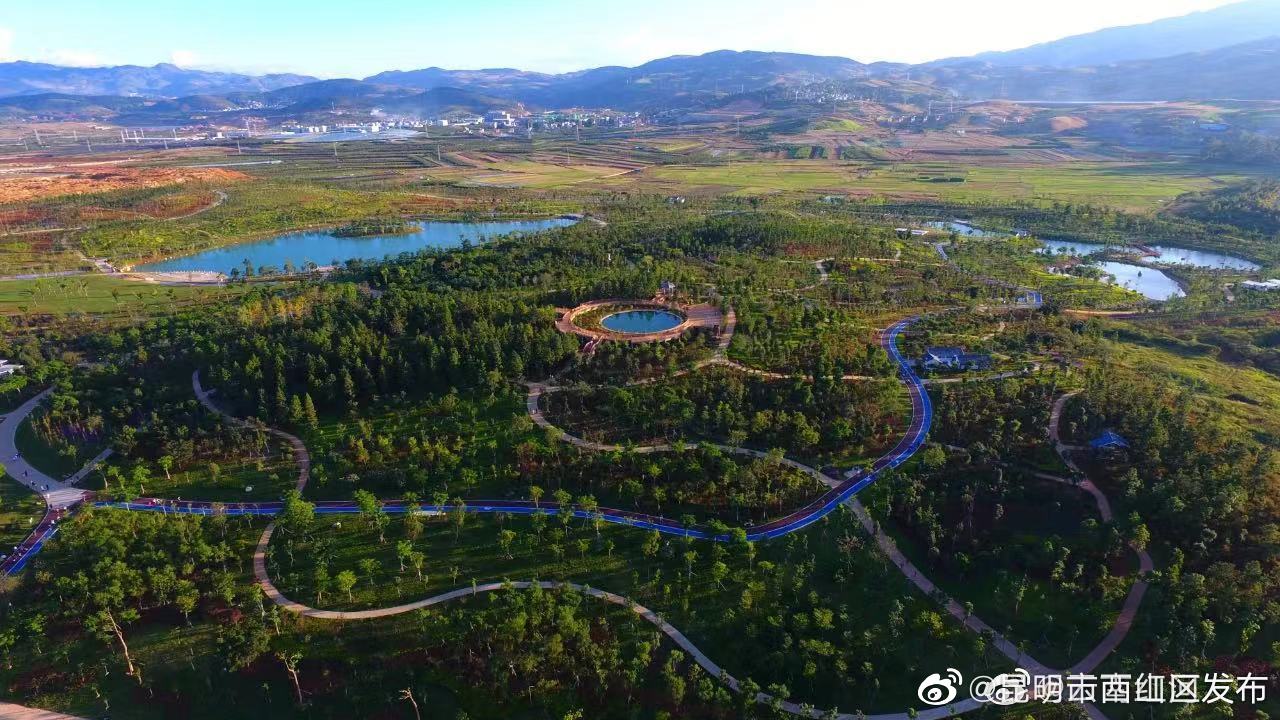 昆明市西山区发布