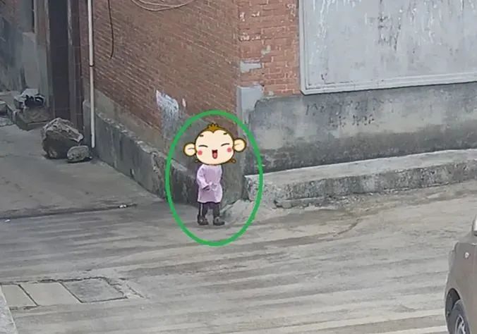 云南政法