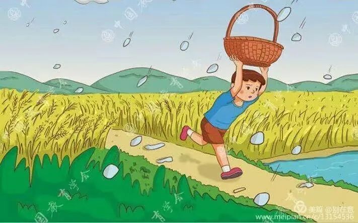 东川发布(微信)