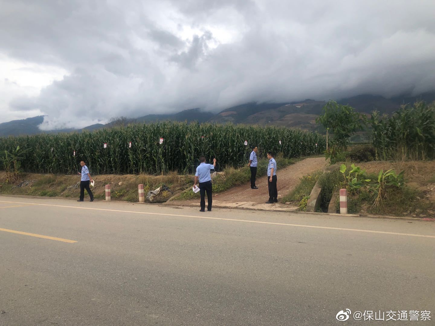 保山交通警察微博