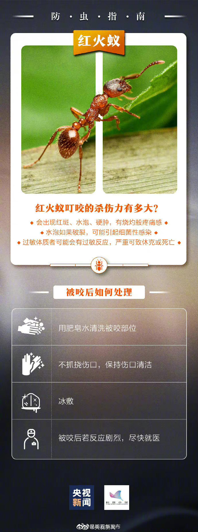 “昆明五华发布”微博