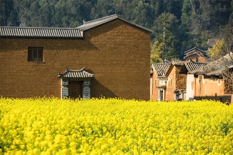 文旅云南