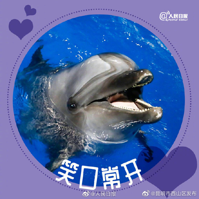 昆明市西山区发布