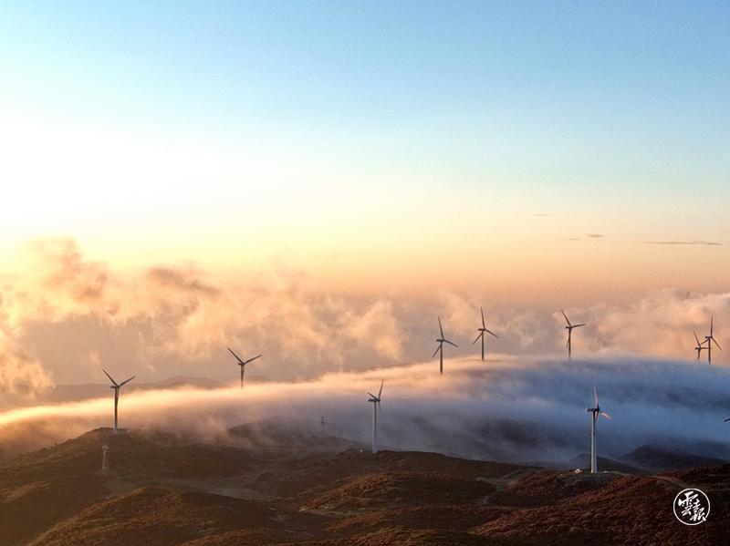 云南省文化和旅游厅