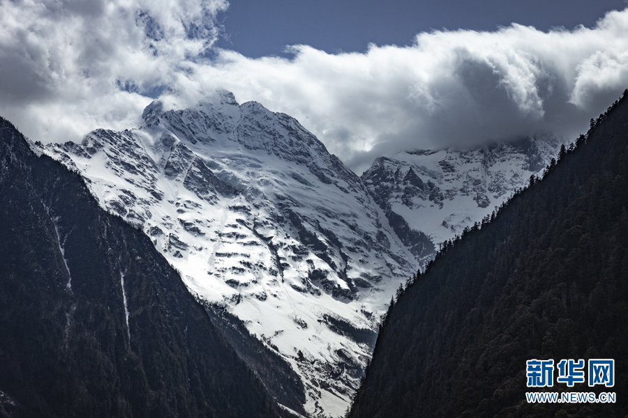 云南省文化和旅游厅