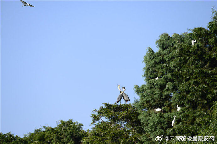 呈贡发布