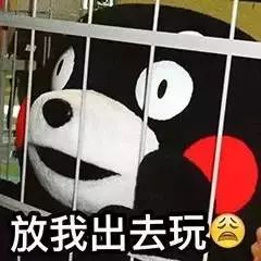 大理电视台