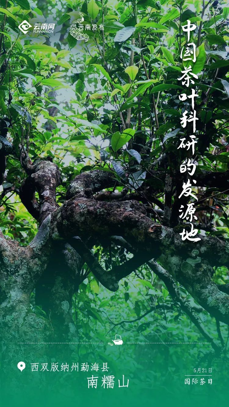 云南省文化和旅游厅