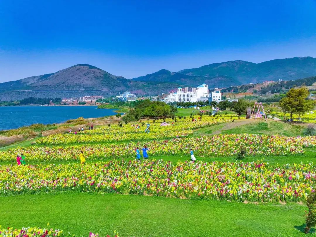 昆明阳宗海风景名胜区(微信)