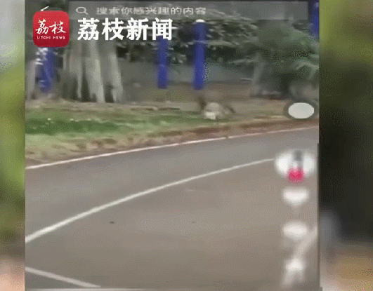 掌上春城微信公众号