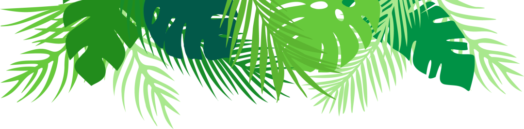 云南野生动物园