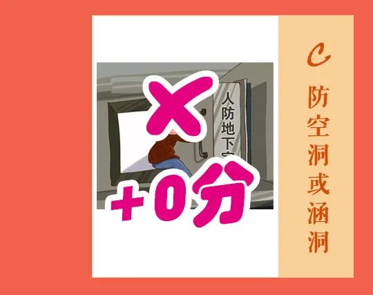 大理日报