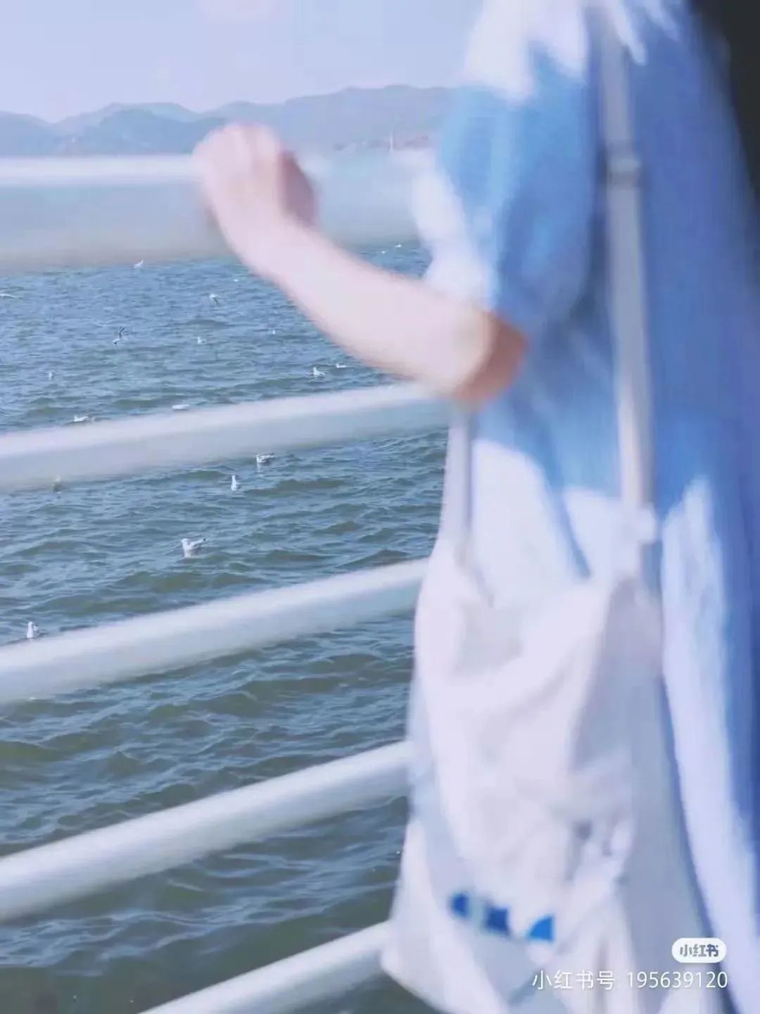 昆明滇池国家旅游度假区管理委员会(微信)