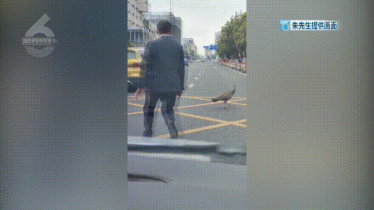 春城晚报