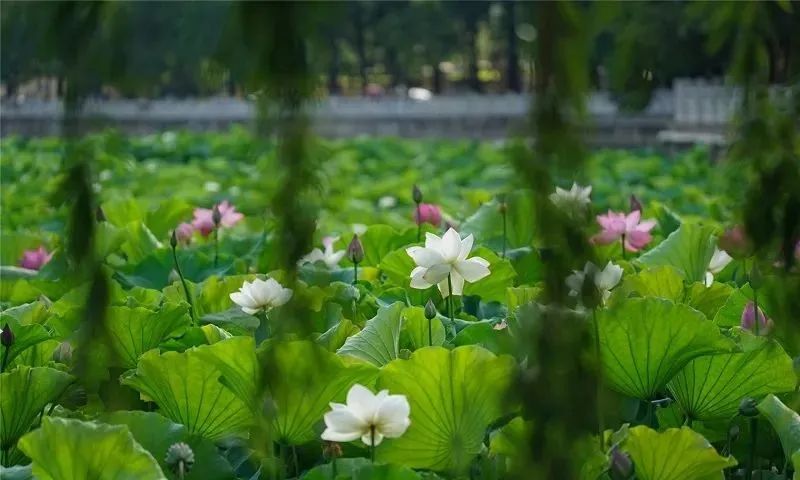 文旅云南