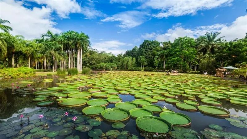 云南省文化和旅游厅