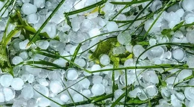 东川发布(微信)