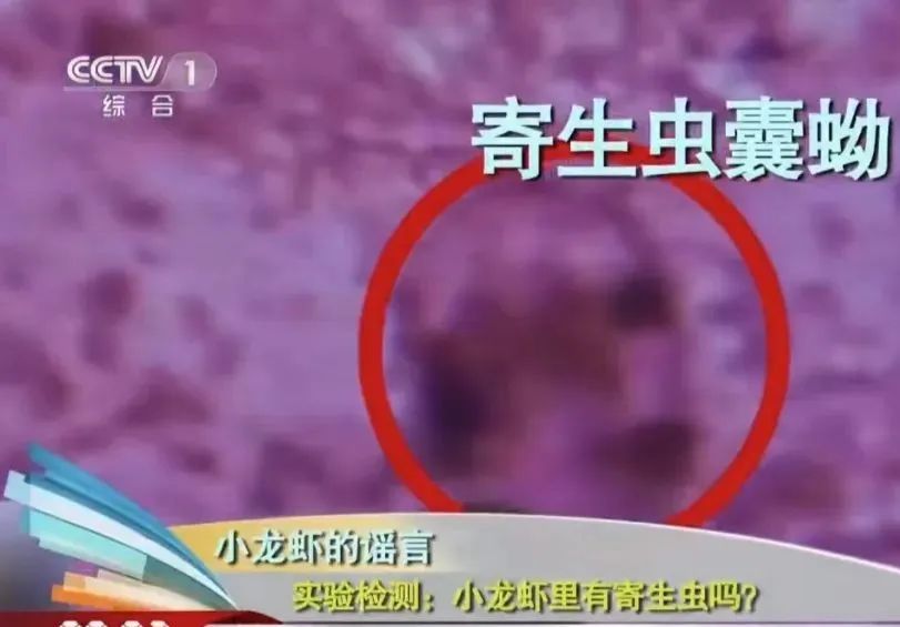 掌上春城微信公众号
