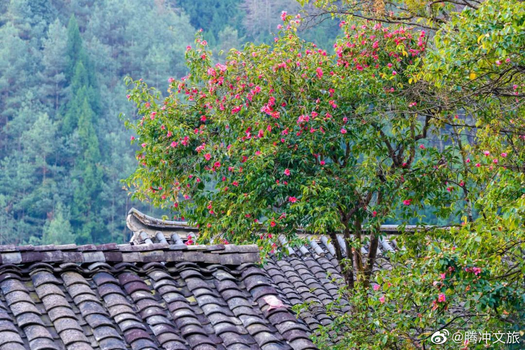 腾冲文旅微博