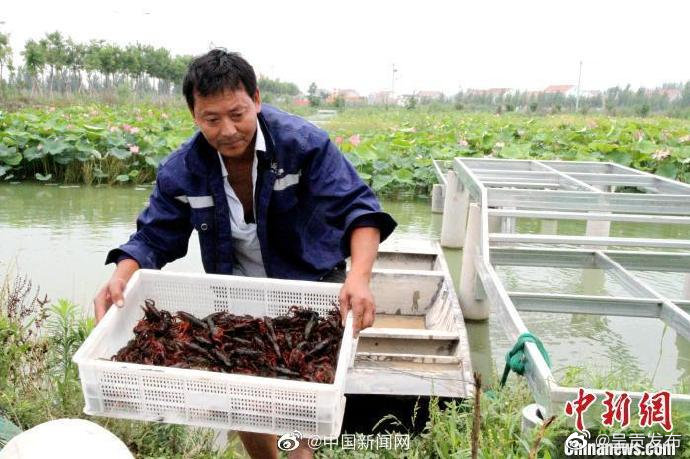 呈贡发布