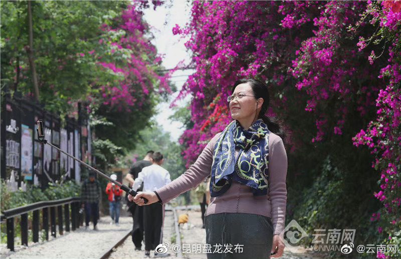 昆明盘龙发布