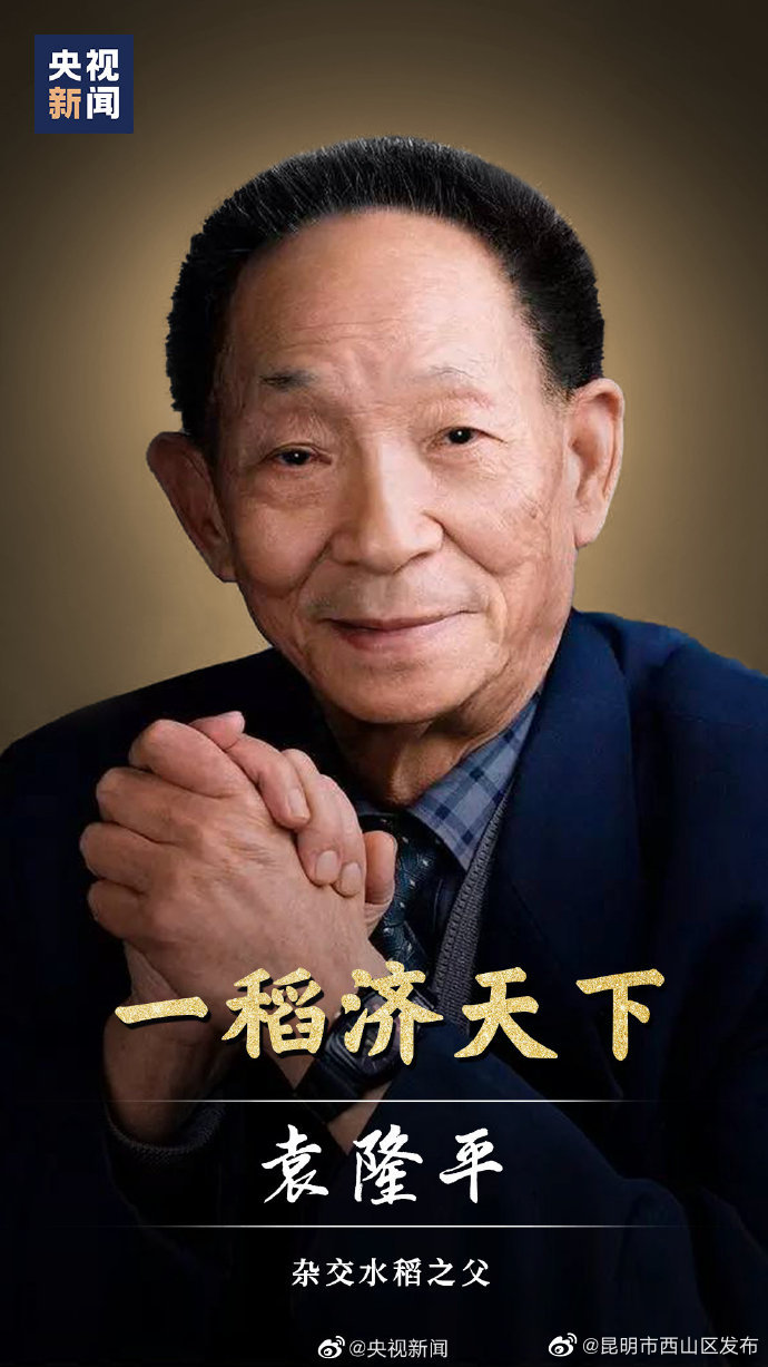 昆明市西山区发布