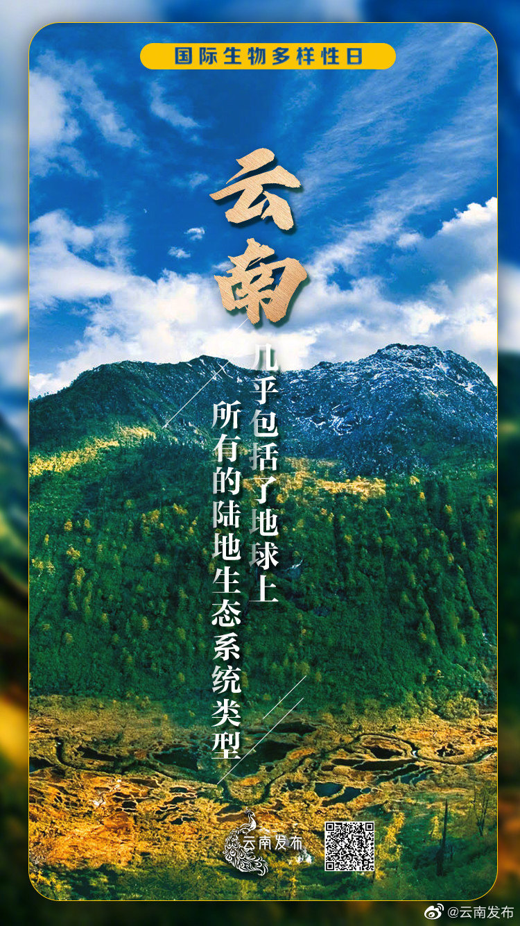 “云南发布”微博