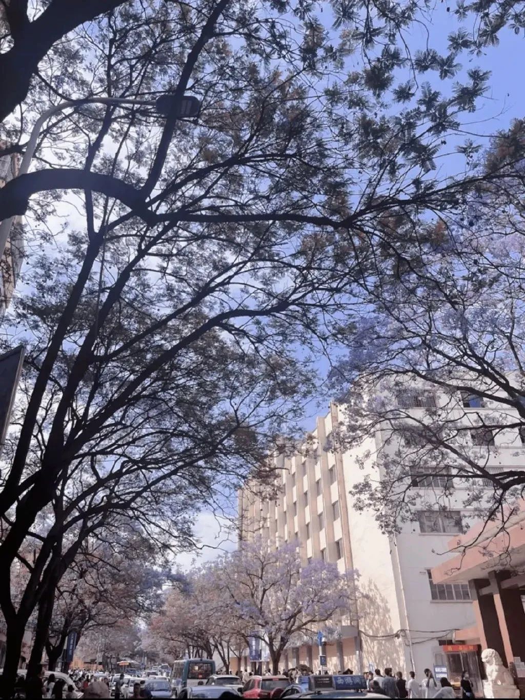 春城晚报