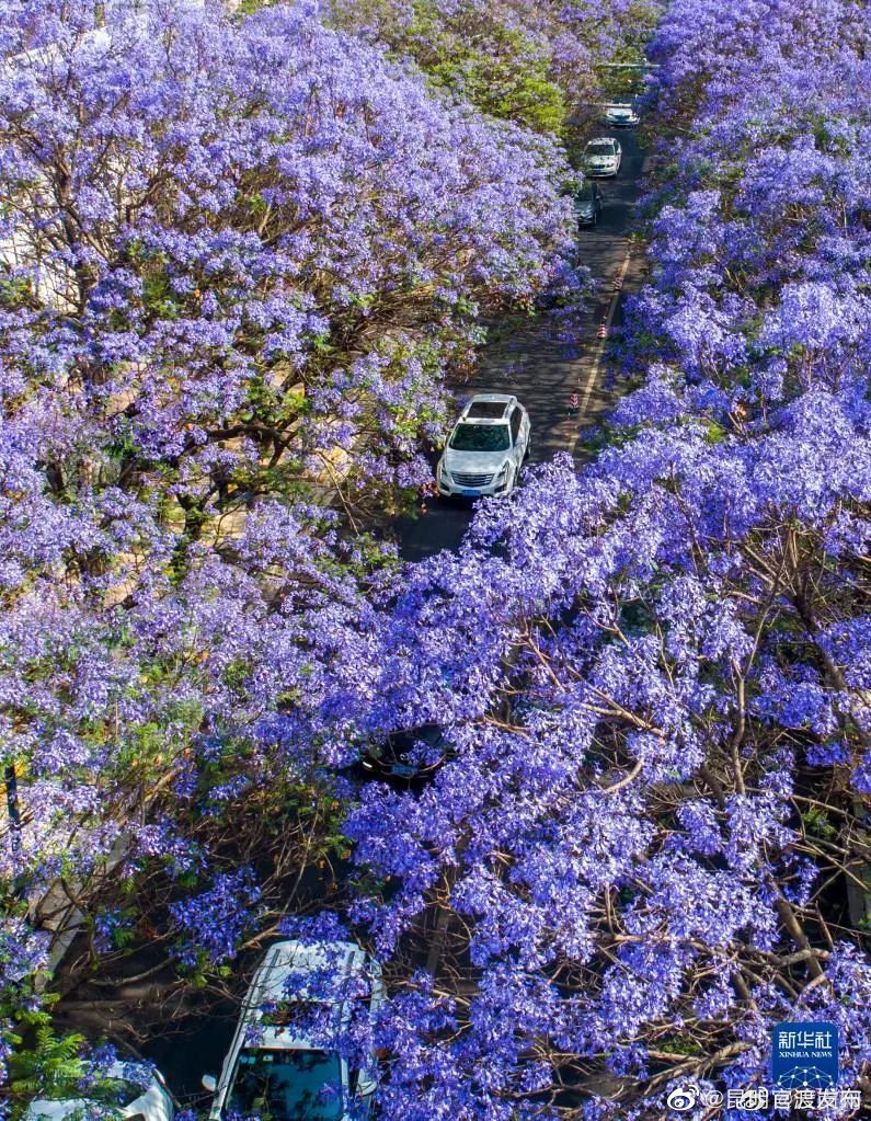 “昆明官渡发布”微博