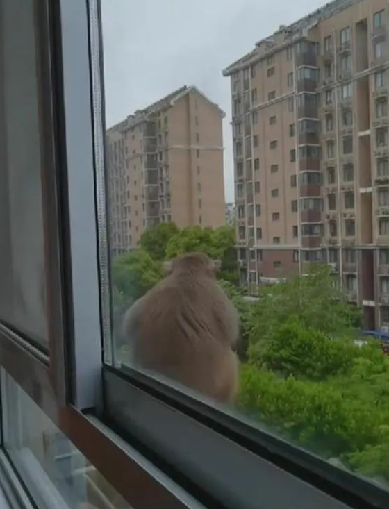 掌上春城微信公众号