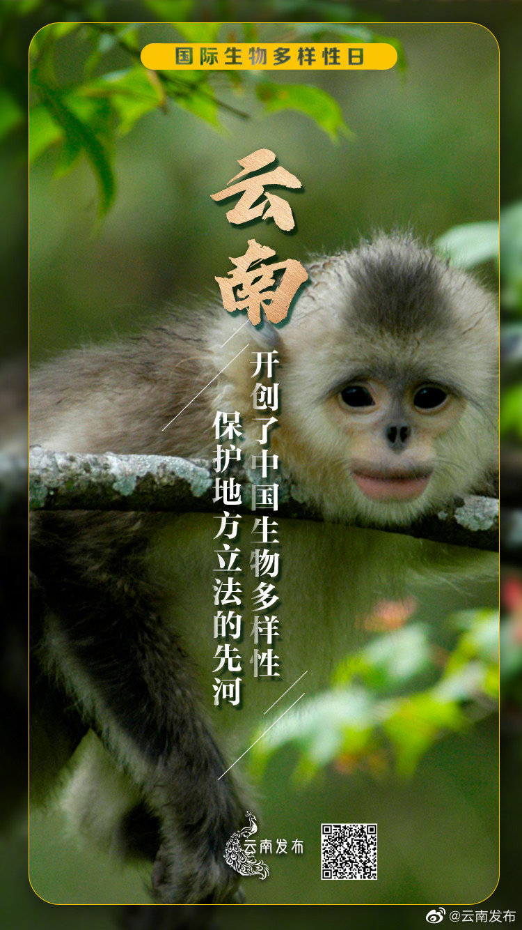 “云南发布”微博