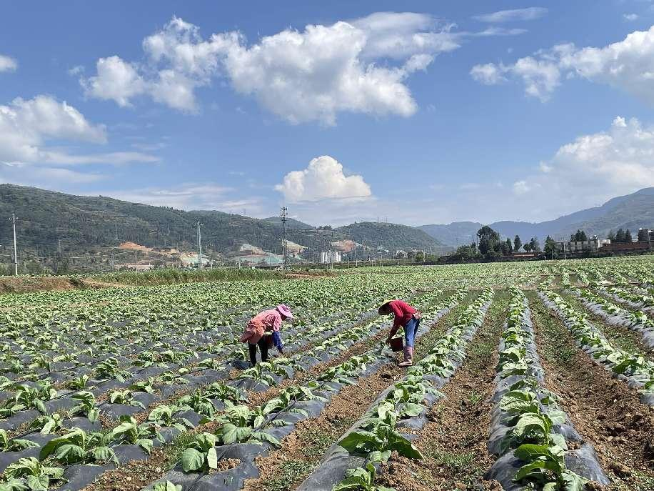 昆明阳宗海风景名胜区(微信)
