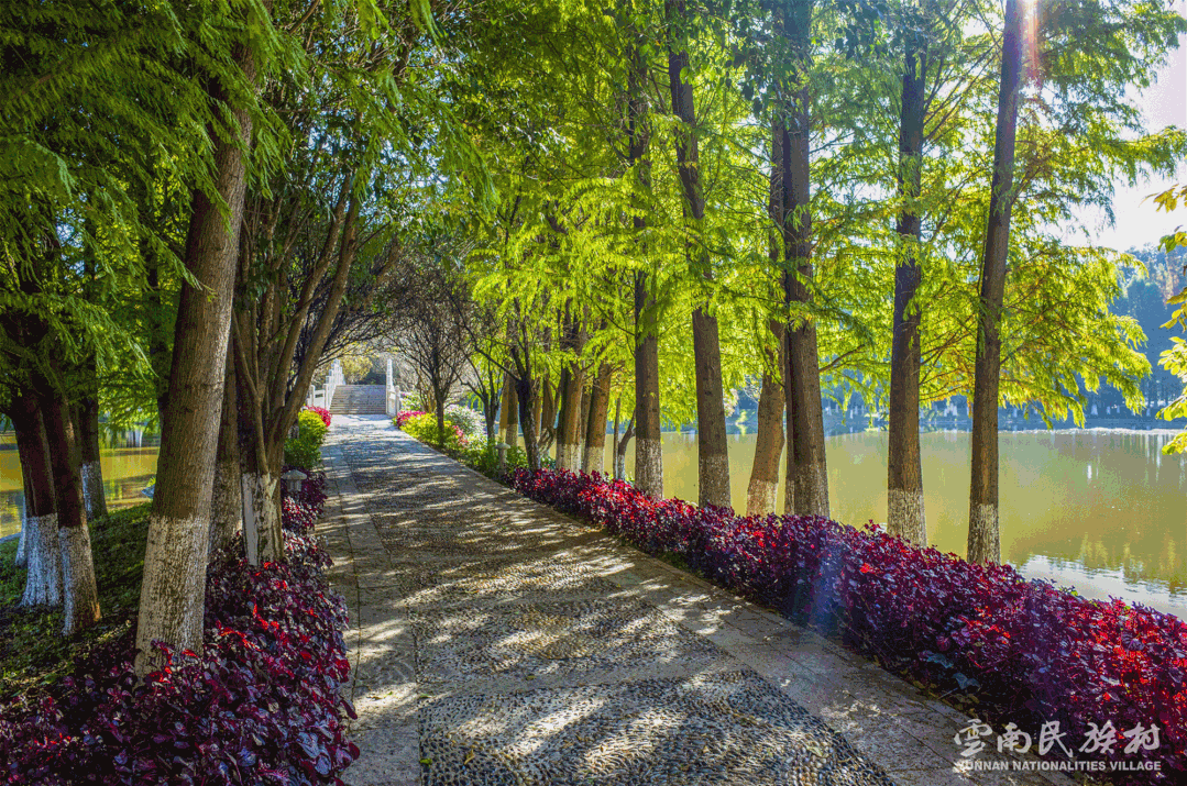昆明滇池国家旅游度假区管理委员会(微信)