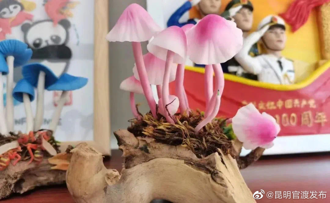 “昆明官渡发布”微博