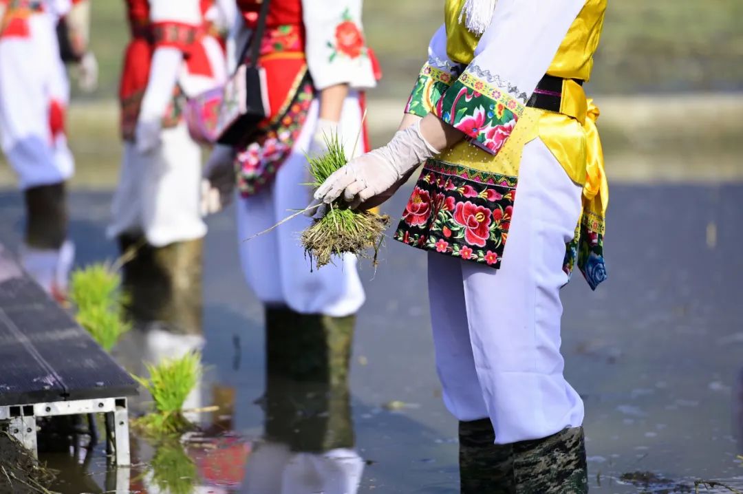 大理电视台
