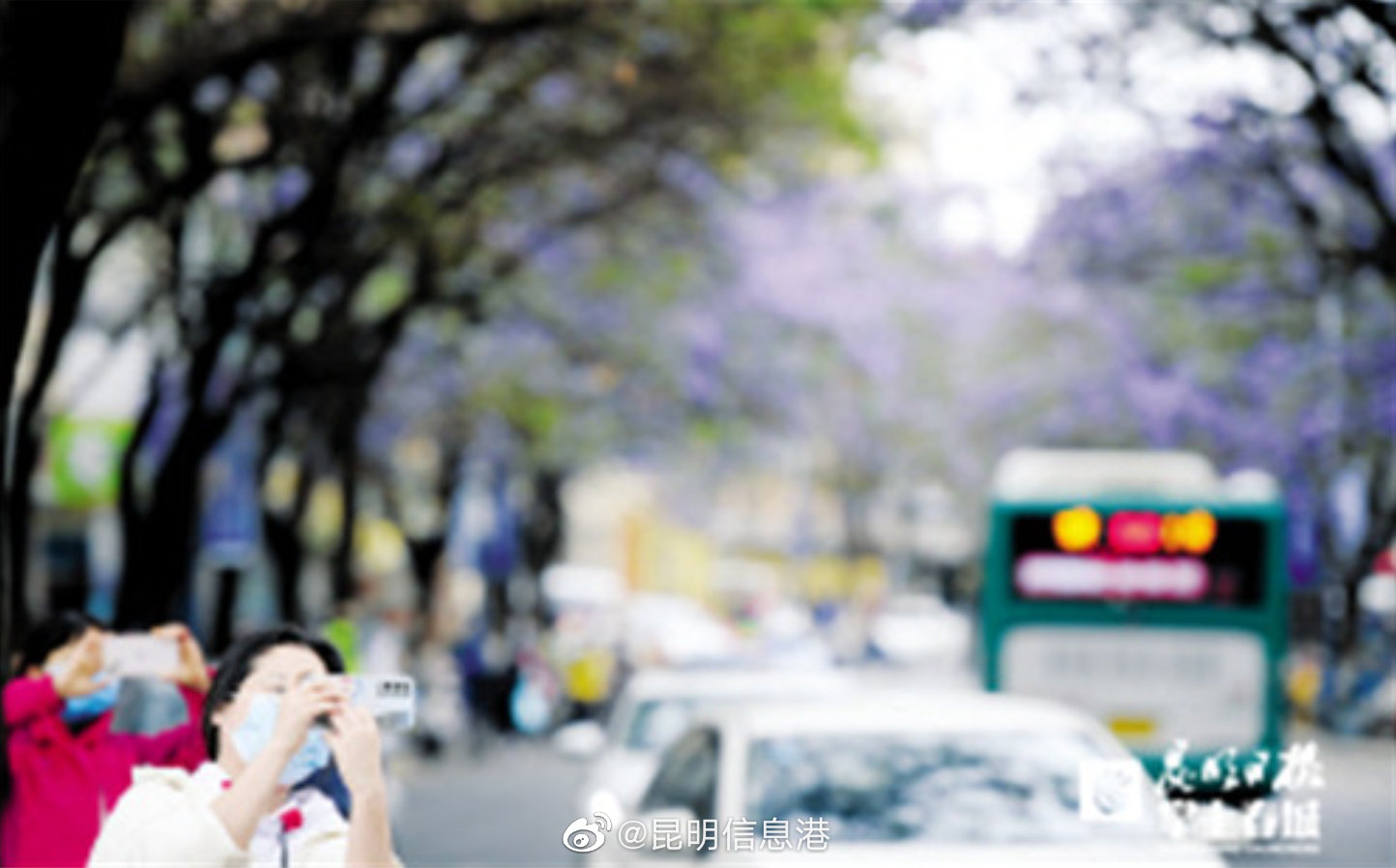 露营是流量担当！“五一”假期云南本地游受青睐