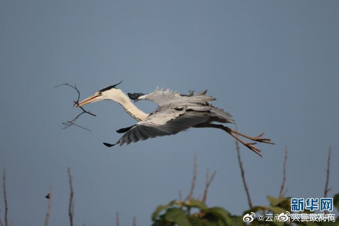 呈贡发布