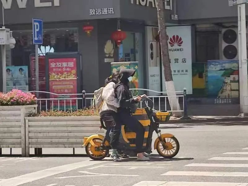 大理日报